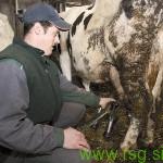 Kaj za naše kmete pomeni ukinitev mlečnih kvot?