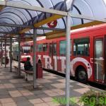 Akcija za solidarnost na mariborskih mestnih avtobusih