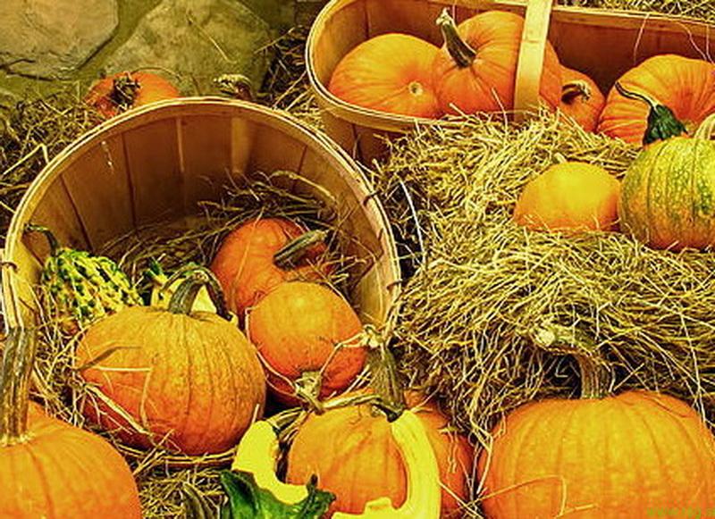 V Staršah tudi letos tradicionalni pozdrav jeseni