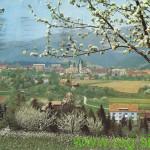 TRENUTNE INVESTICIJE V LOVRENCU NA POHORJU