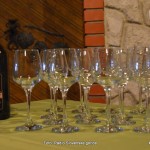 FOTO: Vandranje – Vinogradništvo in vinotoč Pučko