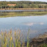 Terenske vaje in strokovni ogled jezera Komarnik pri Lenartu