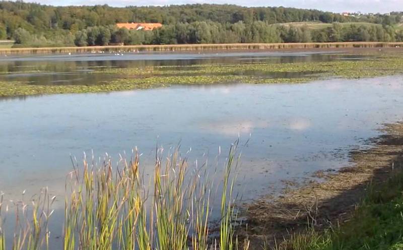 IZLET NA KOMARNIK – SRCE NARAVNE VREDNOTE DRŽAVNEGA POMENA V SLOVENSKIH GORICAH