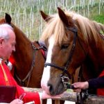 Tudi v Pernici na Štefanovo tradicionalni blagoslov konj