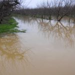 V Miklavžu na Dravskem polju je bilo v lanskem letu veliko poplav