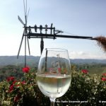 Društvo vinogradnikov Lenart pripravlja dvig klopotca in obisk vinskih kleti članov društva