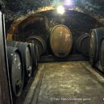 Nasvet za vinogradnike- Letošnji prvi pretok naj bo zgodnji