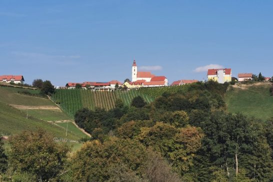 Premiki pri projektu doma starejših na Sveti Ani