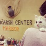 DOBRODELNA DELAVNICA IZDELOVANJA POSODIC ZA HIŠNE LJUBLJENČKE V LONČARSKEM CENTRU MARIBOR