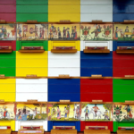 V ČEBELARSKEM DRUŠTVU VITOMARCI BOGATEJŠI ZA ŠOLSKI ČEBELNJAK