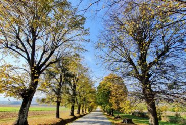 Jesenski čas prinaša spremenjene razmere v prometu in terja dodatno previdnost vseh