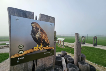 DRAVA NATURA 2000: VČERAJ, DANES, JUTRI